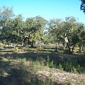 2009_portugal 196